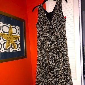 Jones New York Black Sleeveless Dress with Tan Accents